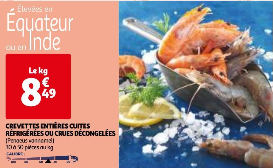 CREVETTES ENTIÈRES CUITES RÉFRIGÉRÉES OU CRUES DÉCONGELÉES