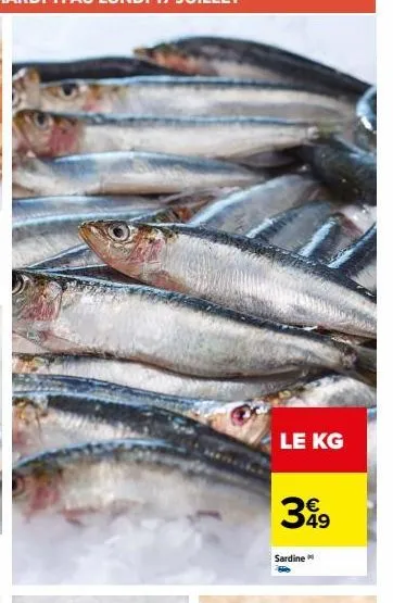 le kg  399  49  sardine 