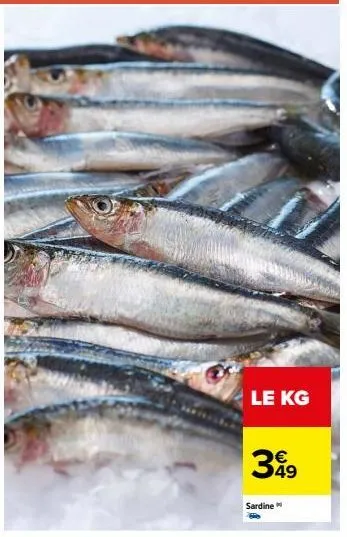 le kg  399  49  sardine 