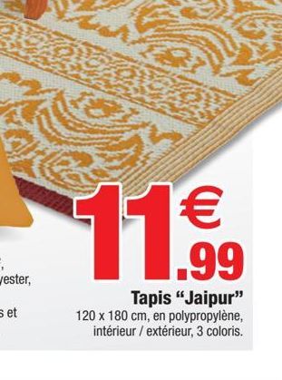 tapis Jaipur