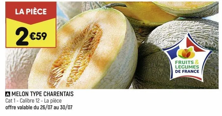 melon type charentais