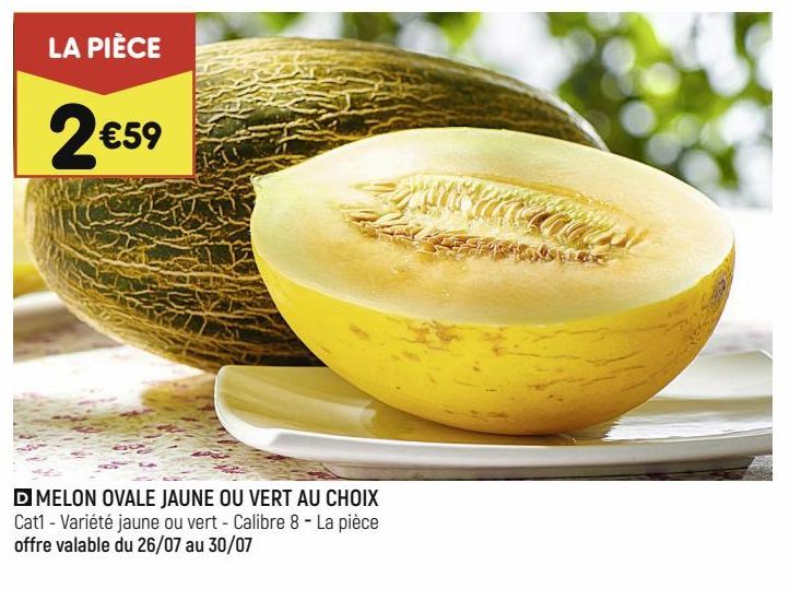  MELON OVALE JAUNE OU VERT AU CHOIX