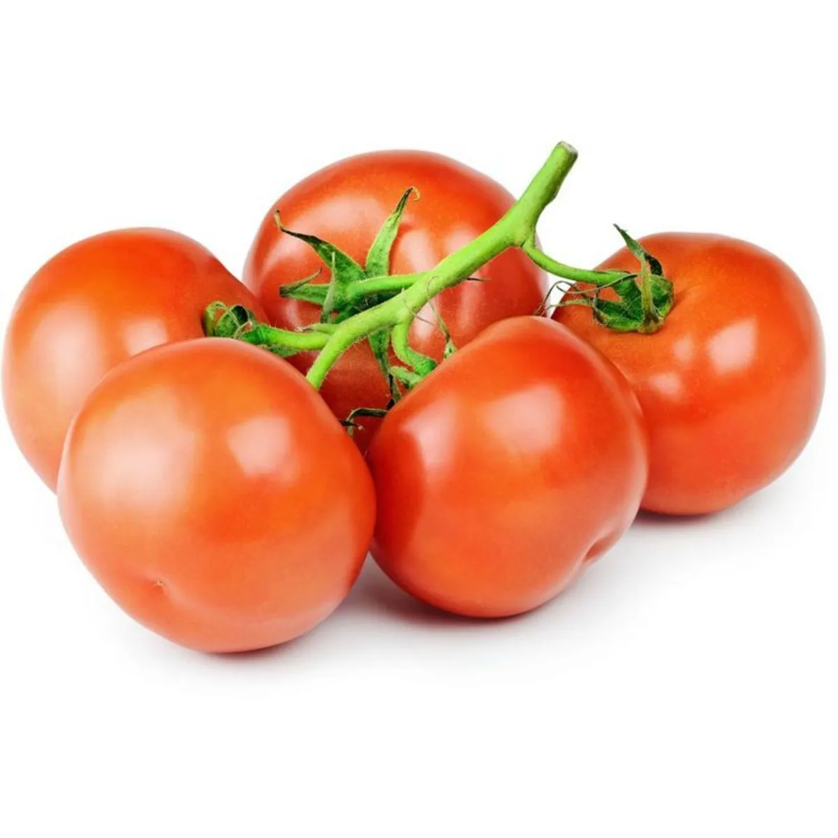tomates rondes en grappe
