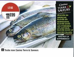 LE KG  11€99  Truite rose Casino Terre & Saveurs  Casino TERRE& SAVEURS  (ÉLEVÉE EN ARDECHE, ÉLEVÉE EN NORMANDIE, ÉLEVÉE DANS LES PYRÉNÉES ATLANTIQUE, ÉLEVÉE DANS LE PAS DE CALAIS)  GOÛTEZ LA DIFFÉREN