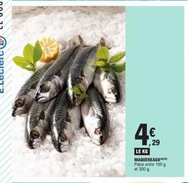 $6  4%  29  LE KG MAQUEREAUX Pce entre 100 g et 300 g 