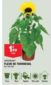 199  GARDENLINE FLEUR DE TOURNESOL  RM 5001960  12cm 35 cm  Reguler Plein Ext 