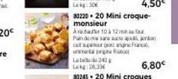 10 à 12 m  33220.20 Mini croque- monsieur  Aicha  Pandem sa s  cut spennan amant jorge Fr  Labed 243 Lokg: 28,33  6,80€ 