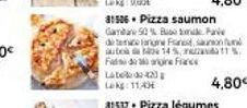 31506 Pizza saumon  Gamta 50% Bu tokave de terace angine France, son auto 14%, and Faddargine France Labe-423  Lekg: 11,40€  4,80€ 