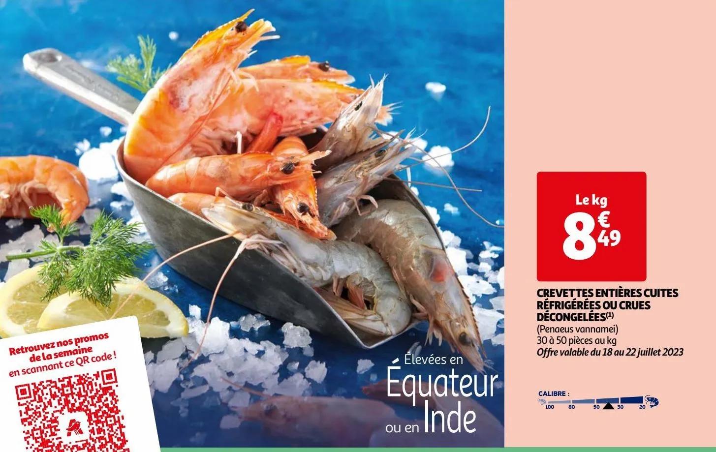 crevettes entières cuites  réfrigérées ou crues  décongelées