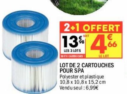 Lot de 2 cartouches pour SPA