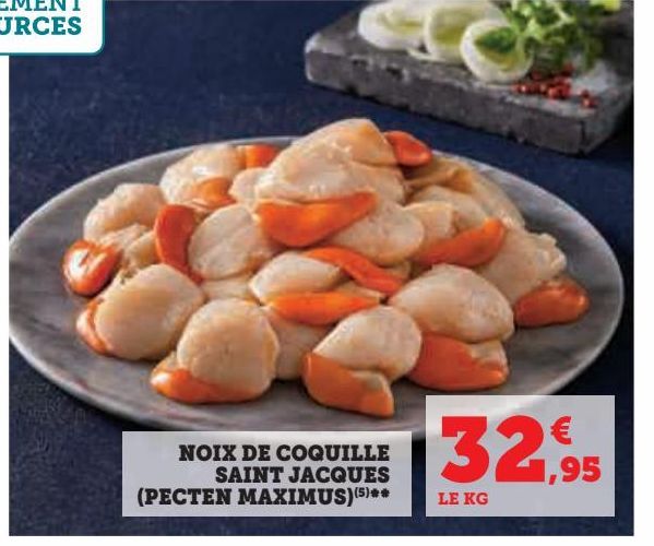 NOIX DE COQUILLE SAINT JACQUES (PECTEN MAXIMUS)