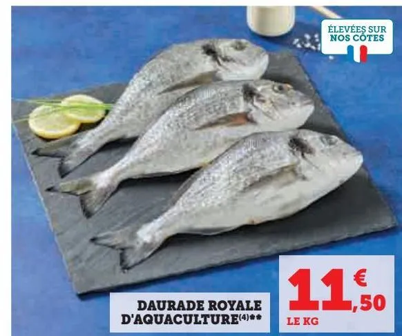 daurade royale d'aquaculture