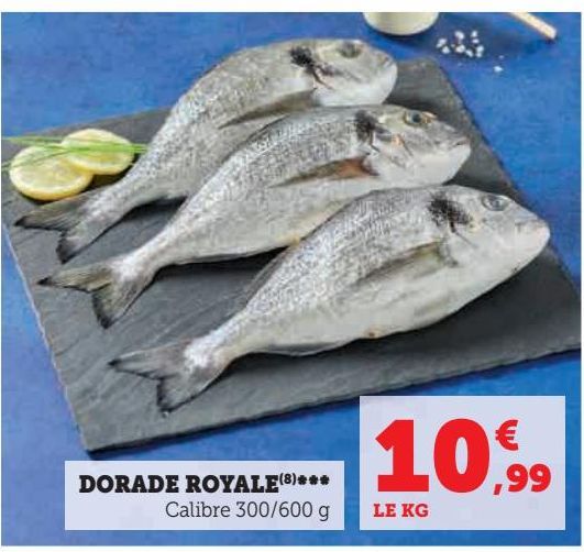 DORADE ROYALE