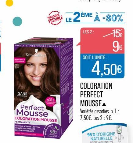 Coloration Perfect Mousse