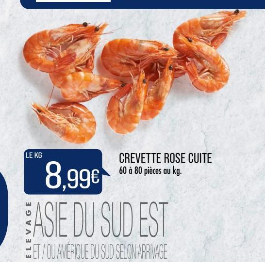 crevettes roses cuites