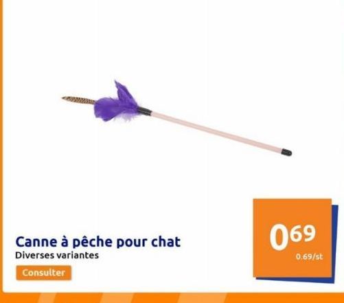 canne à pêche 