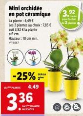 Mini orchidée en pot céramique  La plante: 4,49 €  Les 2 plantes au choix: 7,85 € soit 3,92 € la plante  a6 cm Hauteur: 18 cm min. TH067  -25%  LA PLANTE 4.49  SUR LA  LA PLANTE AU CHOIX  3.92 