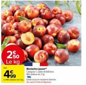 20  250 Le kg  Nectarine jaune Categorie 1 calibre 8 61/67mm Mini plateau de 2 kg  4.⁹9  Le Mini plateau de 2 Existe aussi en nectarine blanche  Au rayon Fruits & légumes 