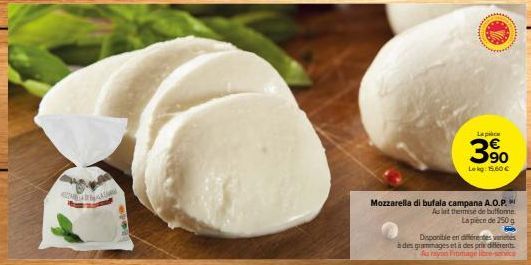 mozzarella 