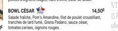 BOWL CESAR  14,50€  Salade fraiche, Pom's Amandine, filet de poulet croustillant, tranches de lard fumé, Grana Padano, sauce césar, 13,90€ tomates cerises, oignons rouges. 