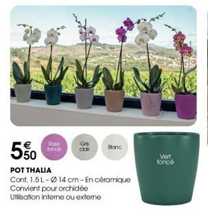 wwwww.  5.50  Rose fonol  Gris clair  POT THALIA  Cont. 1.5L-14 cm -En céramique Convient pour orchidée Utilisation interne ou externe  Blanc  Vert  foncé 