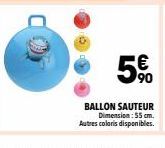 90  BALLON SAUTEUR  Dimension : 55 cm. Autres coloris disponibles. 