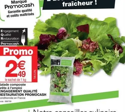 primez votre salade composée prête à l'emploi avec promocash : 2 sachets de 1 kg à seulement 49€ et garantie de qualité maîtrisée!