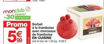 Promo Sorbet Framboise 5 € 99 - Morceaux de Framboise - BAC 1,35 kg - 8,08 € MAURICE POINTSX +30