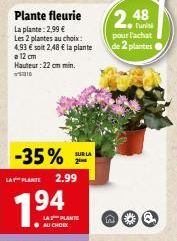 plantes 