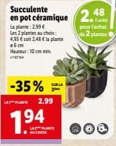 2 Plantes Succulentes en Pot Céramique à -35% - 10 cm min. | 2 pour 2,48 €/u.!