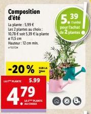 plantes 