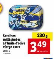 sardines 