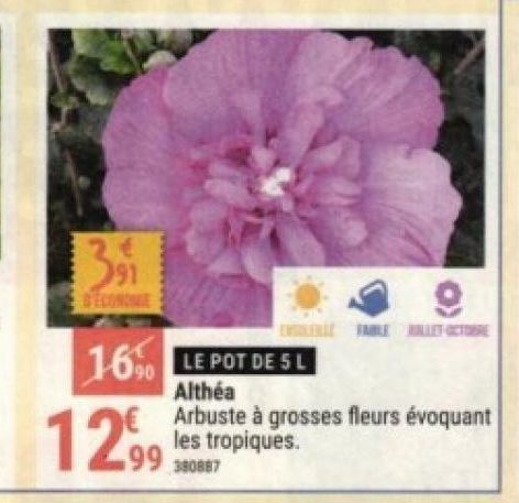 Althéa