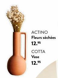 ACTINO Fleurs séchées 12.⁹5  COTTA  Vase 12.⁹5  