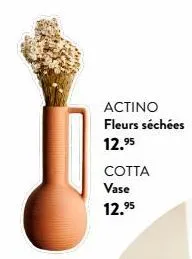 actino fleurs séchées 12.⁹5  cotta  vase 12.⁹5  