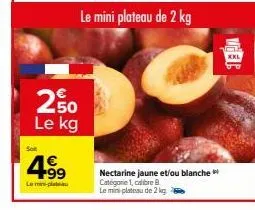 offre spéciale - nectarines jaune/blanche xxl 2 kg : 4,99€/kg!