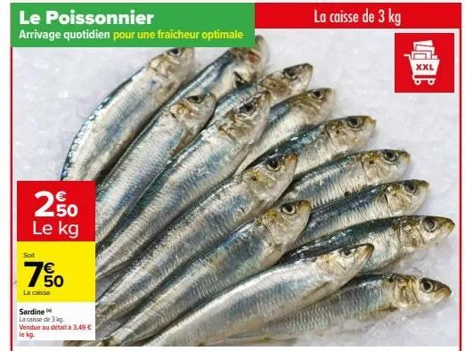 fraîcheur optimale: la caisse de sardines xxl ju à 3,49 € le kg!