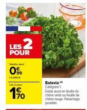 Promo spéciale : les 2 pour 1⁹0 de Venduse Batavia Categorie 1