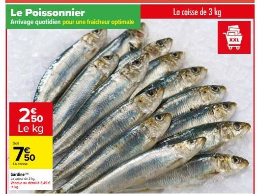 Fraîcheur et Qualité : 3 kg de Sardine XXL JU à seulement 3,49€/kg !