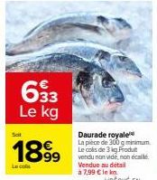 Découvrez notre Daurade Royale de 300g minimum - 3kg max - à 7.99€/kg : Une Saveur Royale au Meilleur Prix !