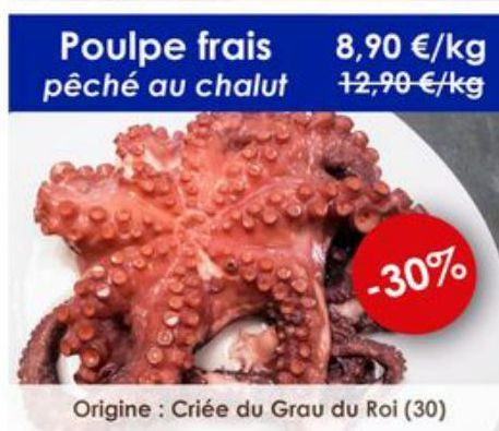 Promo exceptionnelle : Poulpe frais pêché au chalut à 8,90 €/kg -30% - Criée du Grau du Roi (30).