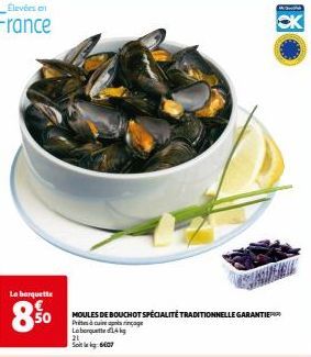 moules 