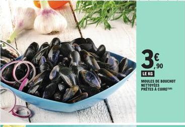 moules 