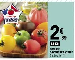 tomates 