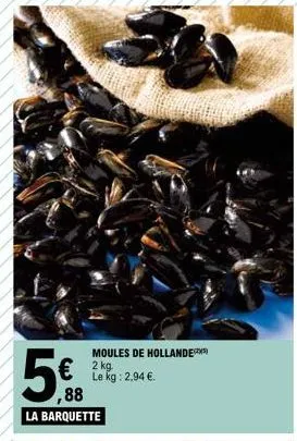 moules 