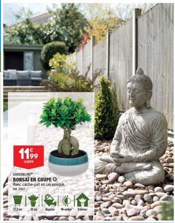 Achetez le Bonsaï Gardenline en Coupe avec Cache-pot en Céramique - PM 5997 - 17,5 cm - 11,99 €!