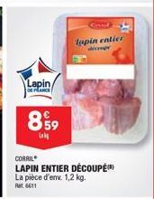 lapin Corril