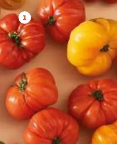 tomates côtelées jaunes, rouges, noires ou allongées coeur