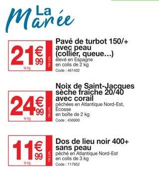Promo de 21% et 11€€€ sur le Collier et Queue de Pavé de Turbot 150/+ avec Corail Élevé en Espagne!