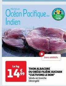 THON ALBACORE OU OBÈSE FILIÈRE AUCHAN "CULTIVONS LE bon"